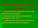 Убери лишнее