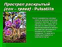 Прострел раскрытый