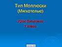 Моллюски (мягкотелые)