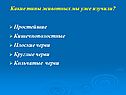 Типы животных