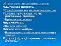 Мантийная полость