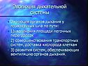 Эволюция дыхательной системы