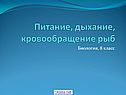 Питание, дыхание, кровообращение рыб