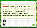 Вид – совокупность растений, сходных по внешнему строению