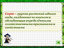 Сорт – группа растений одного вида, созданных человеком