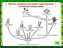 Основы систематики растений
