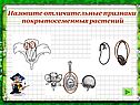 Назовите отличительные признаки покрытосеменных растений
