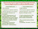 Сравнительная характеристика растений