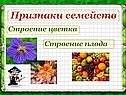 Признаки семейств