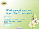Класс насекомые