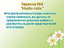 Отряды животных класса насекомых