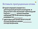 Триплоидная клетка