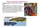 Происхождение земноводных