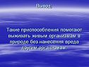 Вывод: Такие приспособления помогают выживать живым организмам в