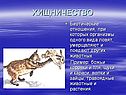 Хищничество