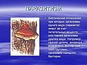 Паразитизм