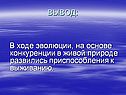 Вывод: