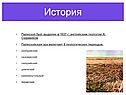 История