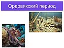 Ордовикский период