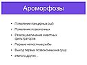 Ароморфозы