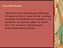 Заключение