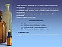 Отряд двукрылые