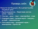 Бурая водоросль
