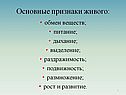 Основные признаки живого