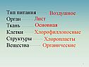 Орган