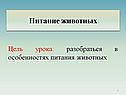 Питание животных