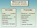Живые организмы