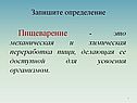 Пищеварение