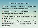 Процесс питания животных