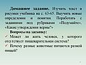 Домашнее задание