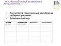 Листья простые и сложные, их жилкование и листорасположение