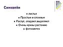 Листья Простые и сложные Растут, опадают,выделяют Очень нужны