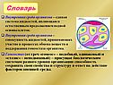 Словарь