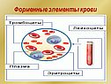 Форменные элементы крови