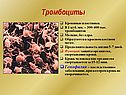 Тромбоциты