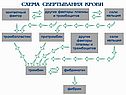 Постоянство внутренней среды организма