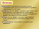 Протромбин