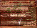 Теории происхождения жизни