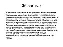Животные
