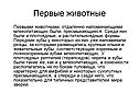 Первые животные