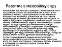 Развитие в мезозойскую эру