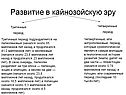 Развитие в кайнозойскую эру