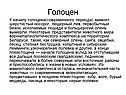 Голоцен
