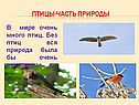 Птицы-часть природы