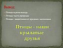 Птицы - наши крылатые друзья
