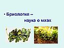 Бриология
